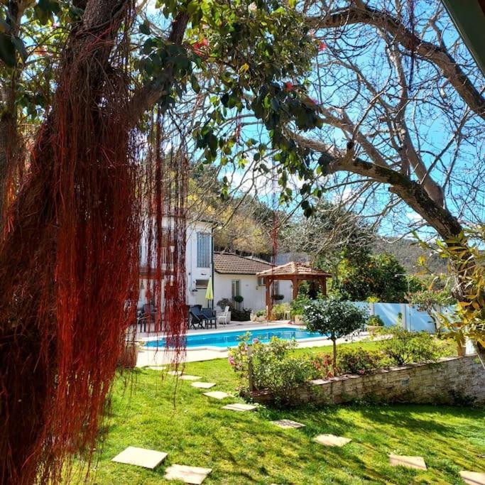 Casat5, Ferias, Piscina Privativa. Agueda, Aveiro Villa Eksteriør billede