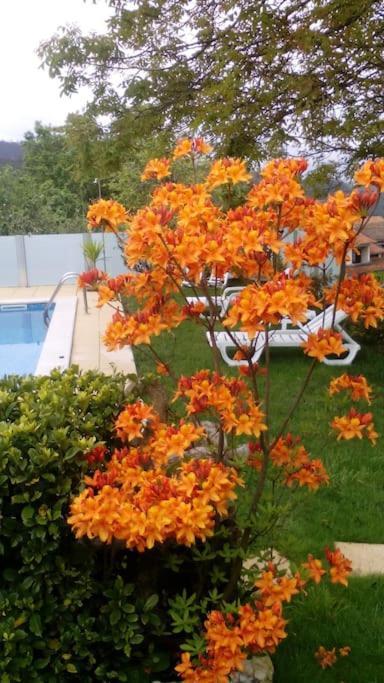 Casat5, Ferias, Piscina Privativa. Agueda, Aveiro Villa Eksteriør billede